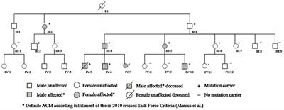 Phenotypic Variability of a Pathogenic PKP2 Mutation in an Italian Family Affected by Arrhythmogenic Cardiomyopathy and Juvenile Sudden Death: Considerations From Molecular Autopsy to Sport Restriction